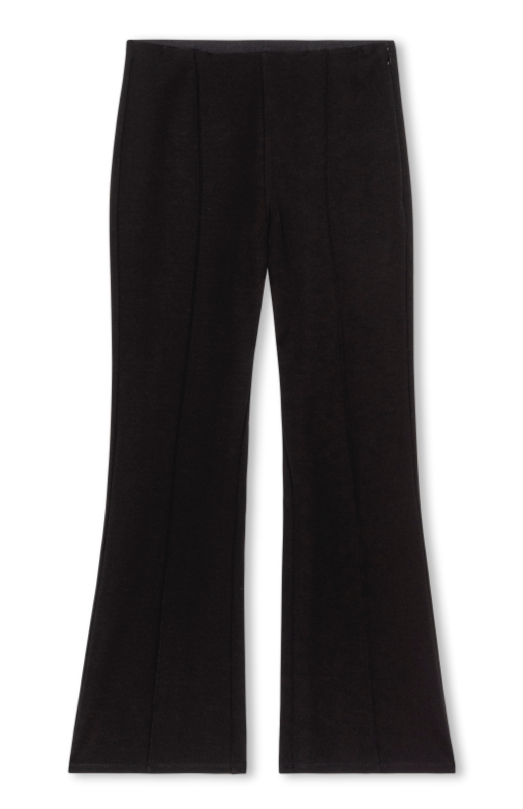 Auray Pant