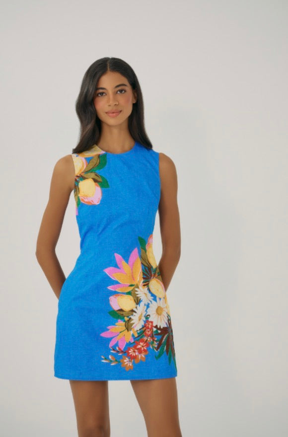 Janesta Dress