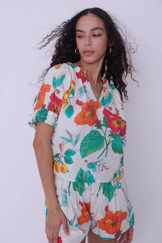 Dawson top