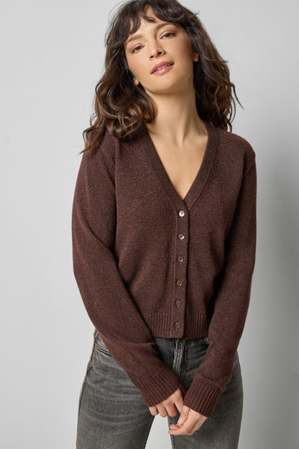 V-Neck Sparkle Cardigan