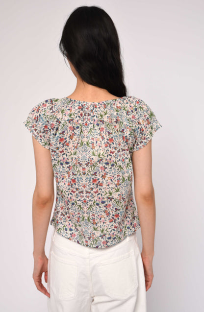 Vanda Top