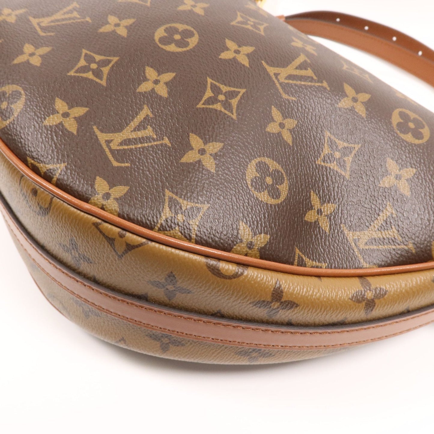 LV Loop Hobo Monogram Reverse