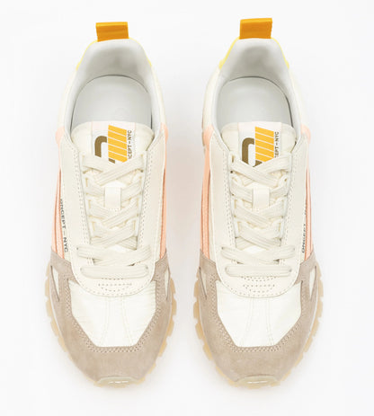 Toronto sneaker