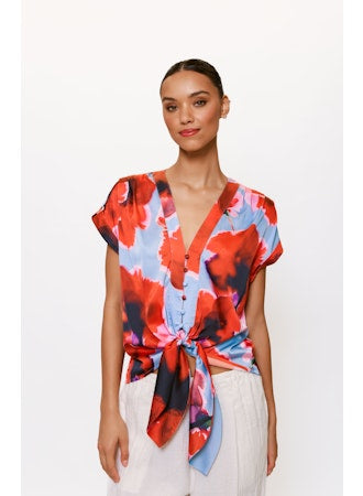 Ricci Top
