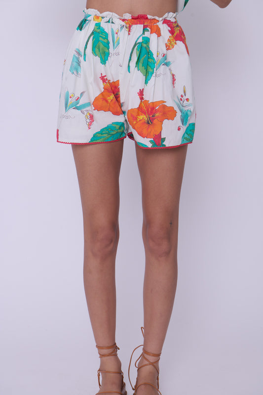 Amelie shorts