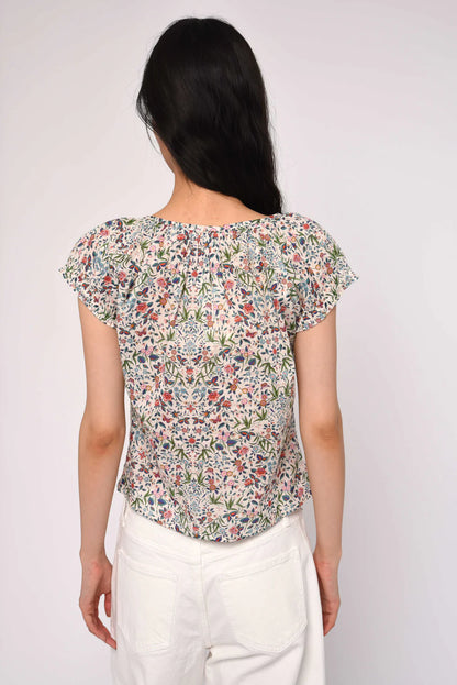 Vanda Top