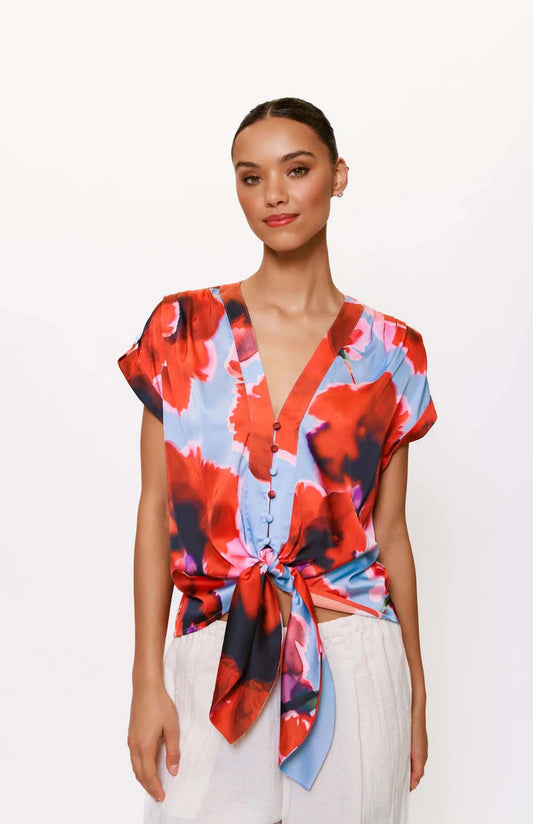 Ricci Top