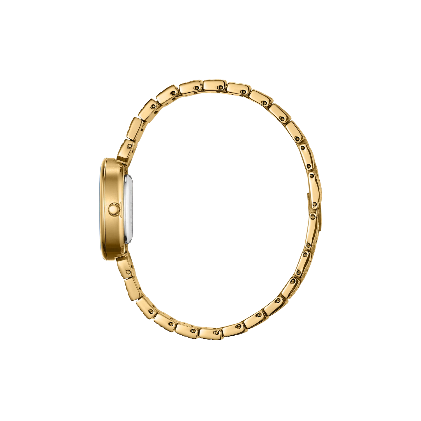 Jane Revival Watch
