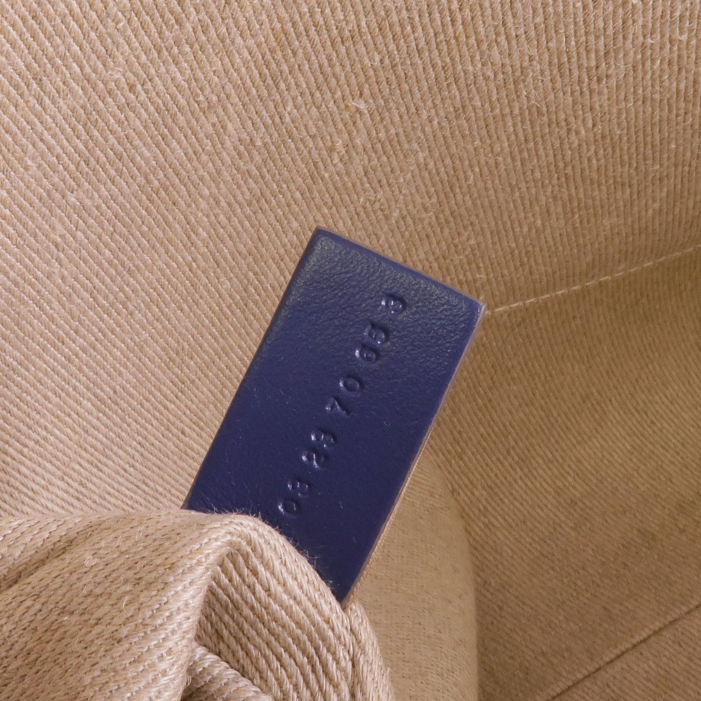 Chloe Canvas Woody /tote Bag Medium Blue/Green Canvas